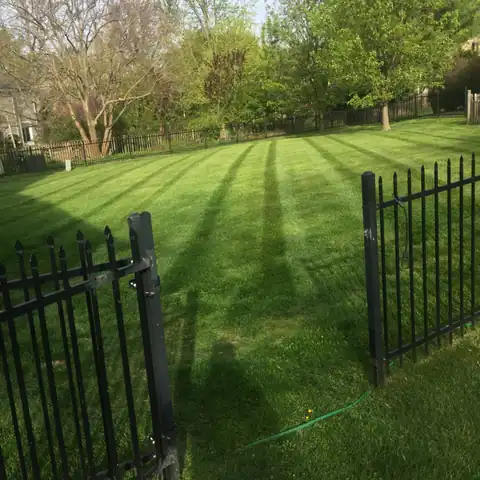 OB Mowing & Landscaping project photo 17