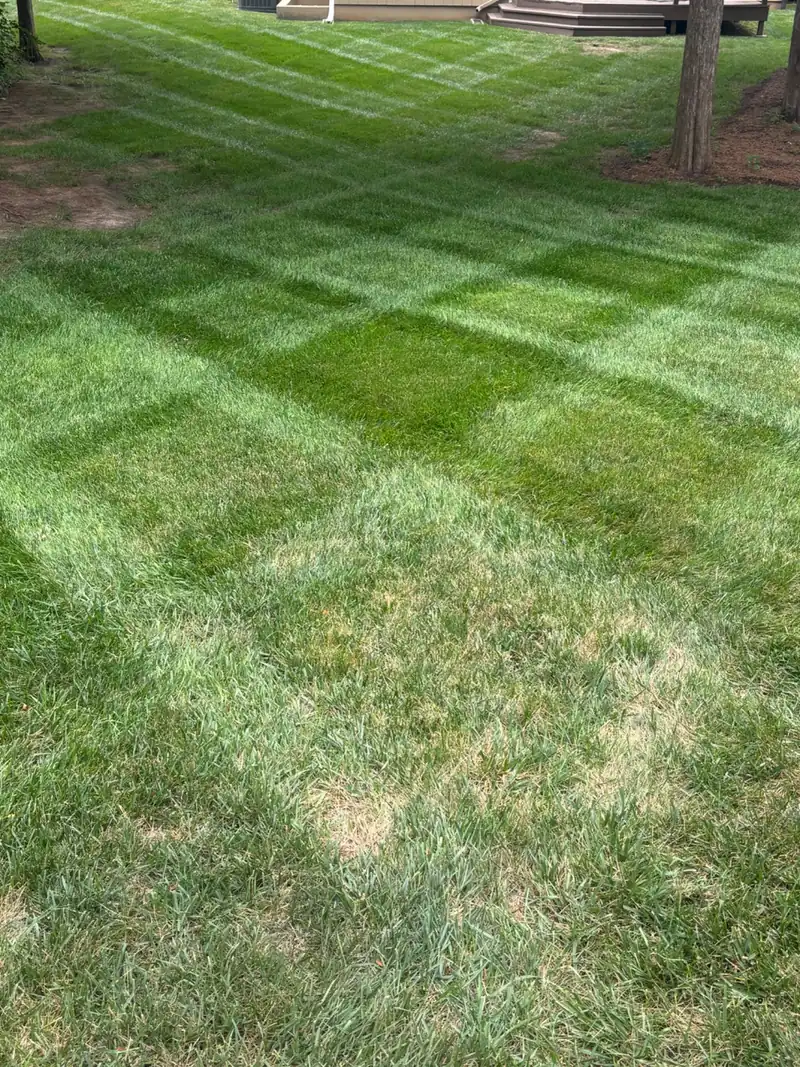OB Mowing & Landscaping project photo 8