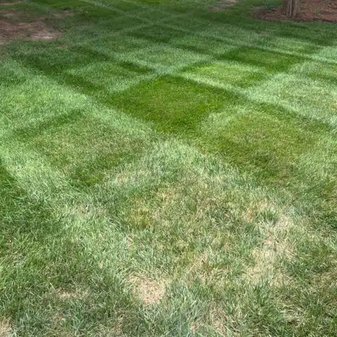 OB Mowing & Landscaping project photo 8