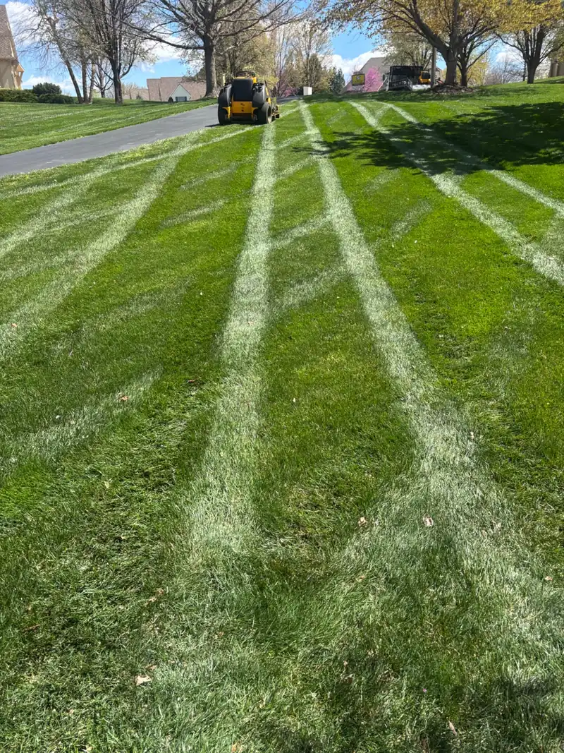 OB Mowing & Landscaping project photo 4