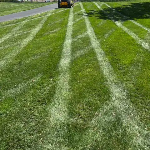 OB Mowing & Landscaping project photo 4