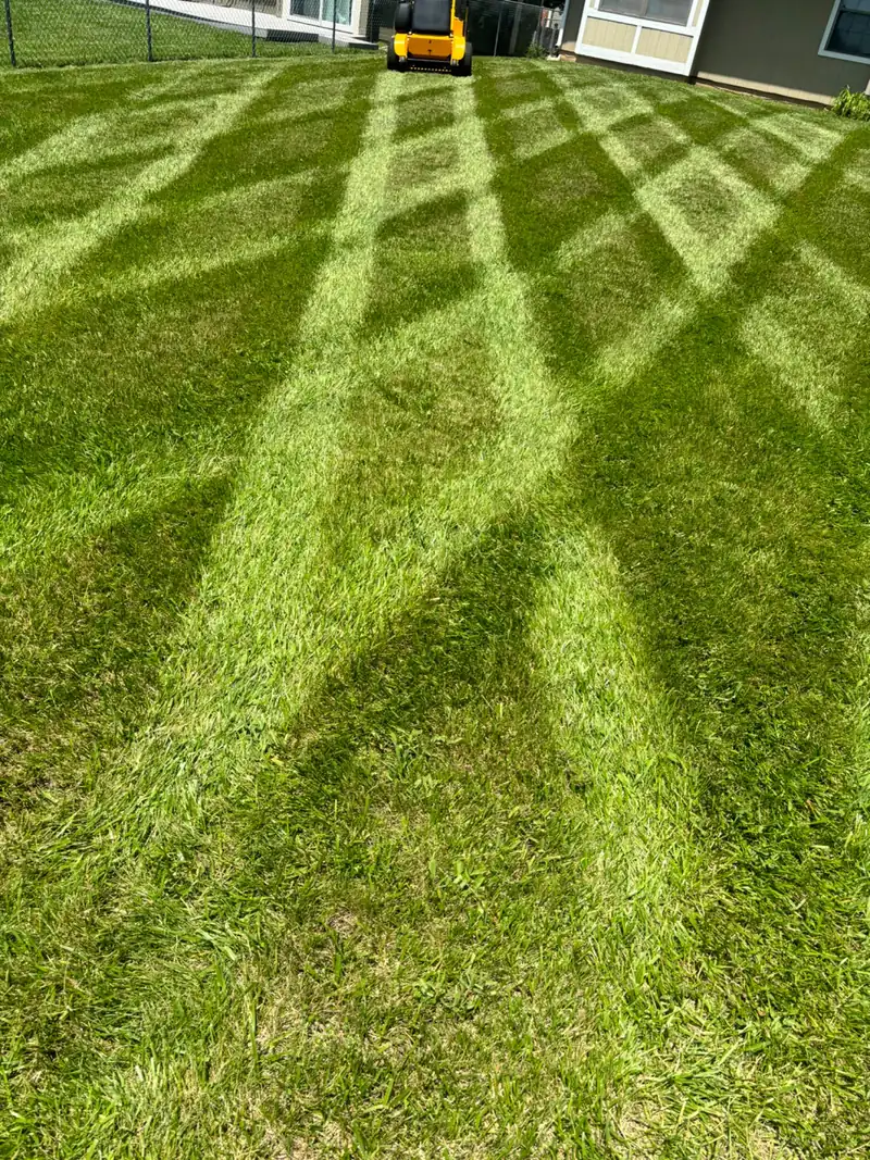Lawn Mowing