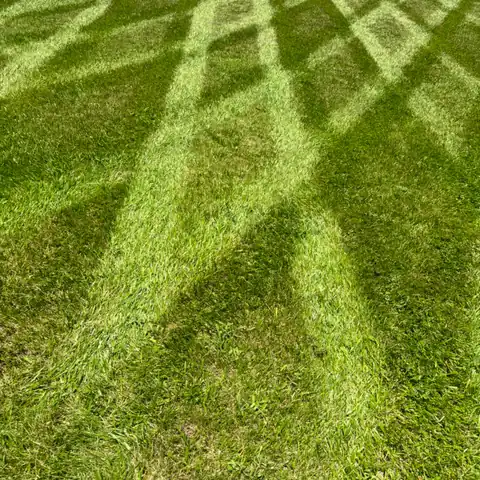 OB Mowing & Landscaping project photo 13
