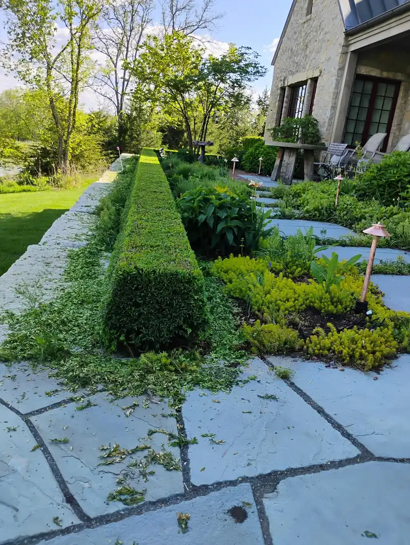 Landscaping