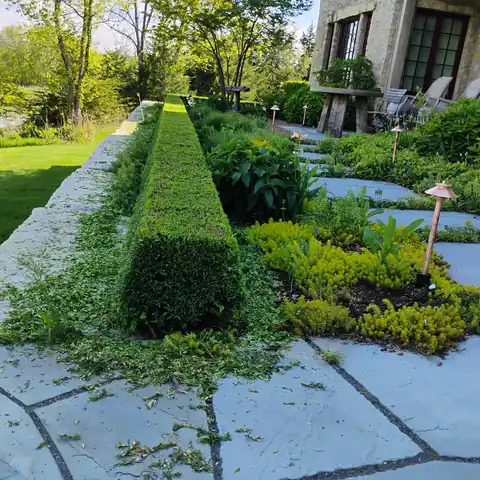 OB Mowing & Landscaping project photo 12