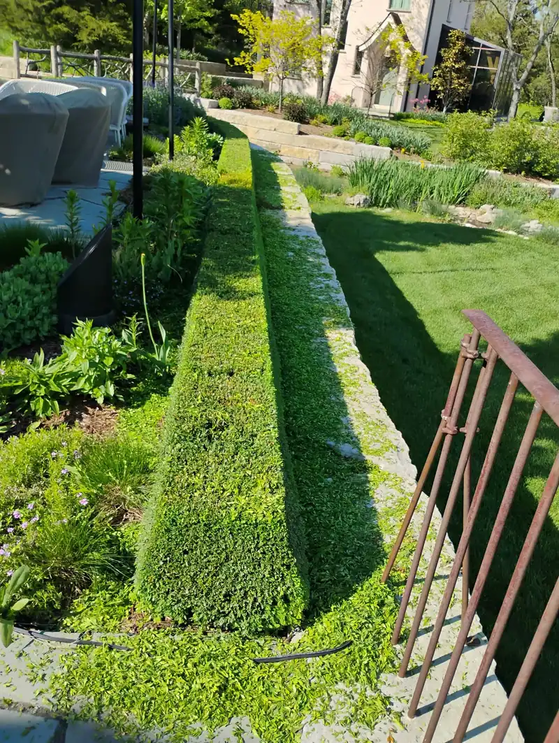 OB Mowing & Landscaping project photo 5