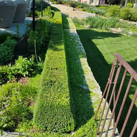 OB Mowing & Landscaping project photo 5