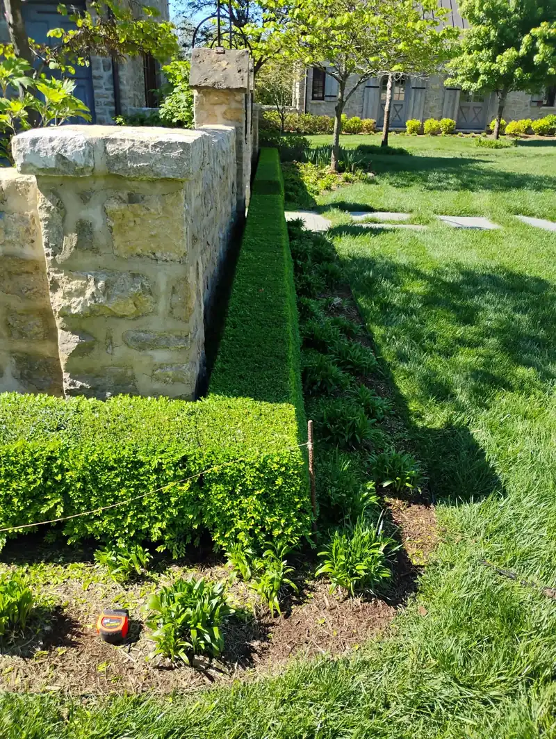 Trimmed boxwood hedge along a limestone wall beside a freshly mowed lawn