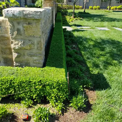 OB Mowing & Landscaping project photo 16