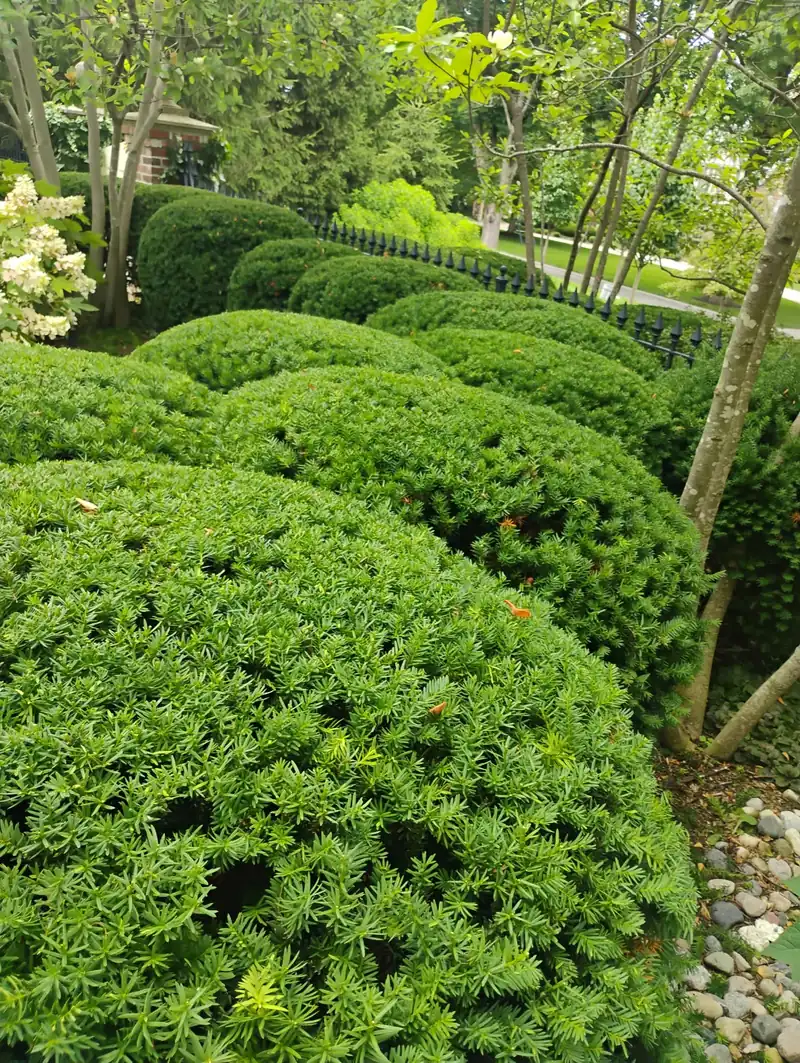 OB Mowing & Landscaping project photo 1