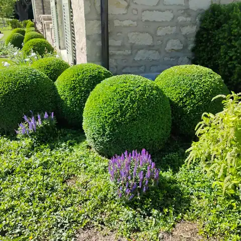 OB Mowing & Landscaping project photo 11