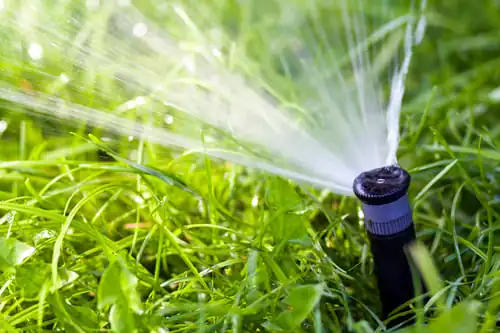 Spring Irrigation Start-Up: A Checklist for Lawrence Homeowners