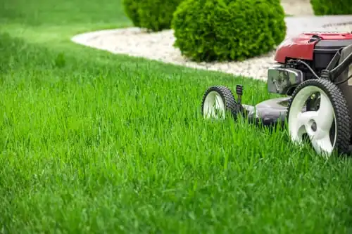 How Short Should You Mow? Mowing Height for Lawrence Lawns