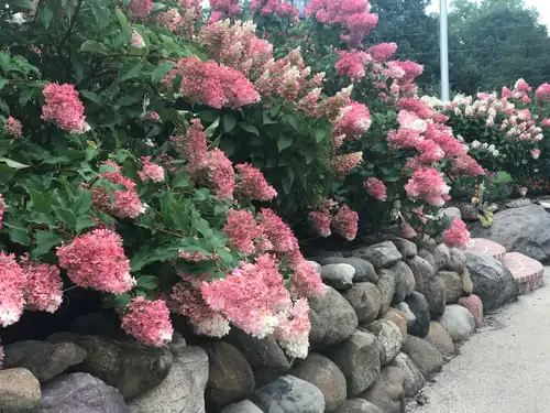 Why Retaining Walls Fail, and How to Build One That Lasts